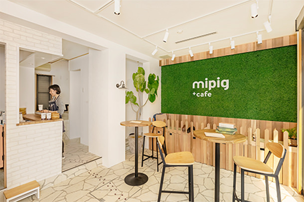 mipig cafe MICRO PIG HOUSE