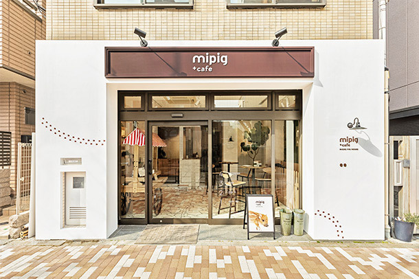 mipig cafe MICRO PIG HOUSE