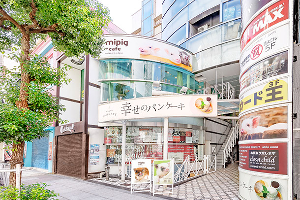 mipig cafe Osaka