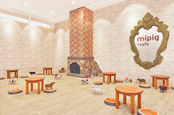 mipig cafe イオンモール札幌発寒店