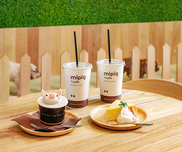 店舗案内 目黒店 Mipig Cafe マイピッグカフェ