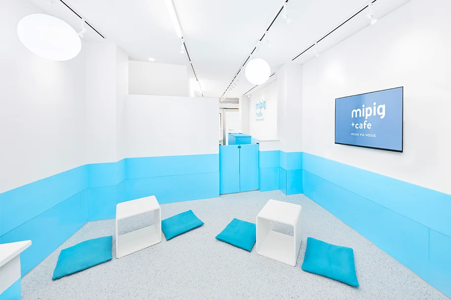 mipig cafe 横浜中華街店 1階