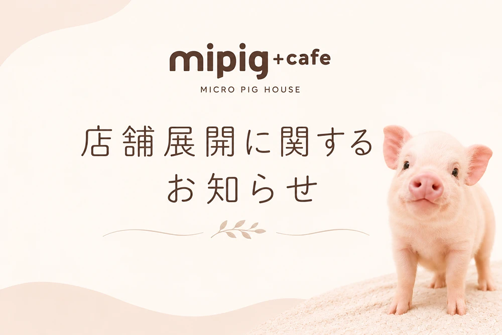 店舗展開に関するお知らせ